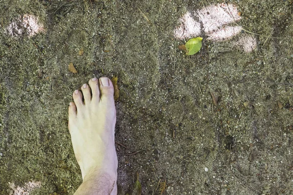 Una vista aerea a piedi nudi sulla superficie nella foresta — Foto Stock