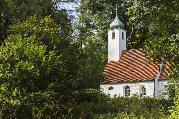 Una Iglesia Escondida Entre Los Árboles Bosque — Foto de Stock