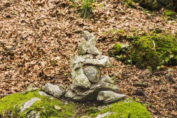 Διάφορες Πέτρες Ισορροπία Σωρός Από Πέτρες Στο Δάσος Φθινόπωρο — Φωτογραφία Αρχείου
