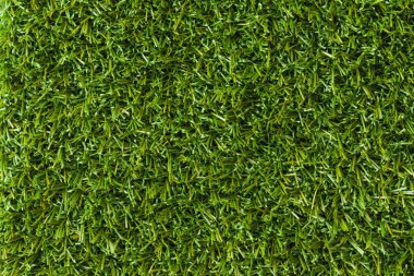 Yeşil bitkilerin doğal desen arka plan