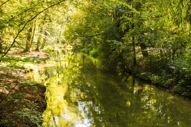 Su kanalı ile sonbahar ormanda