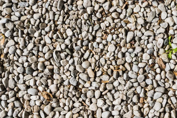 Pebbles Texture comme image de fond — Photo