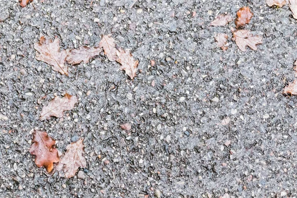 Eski beton doku arka plan görüntüsü