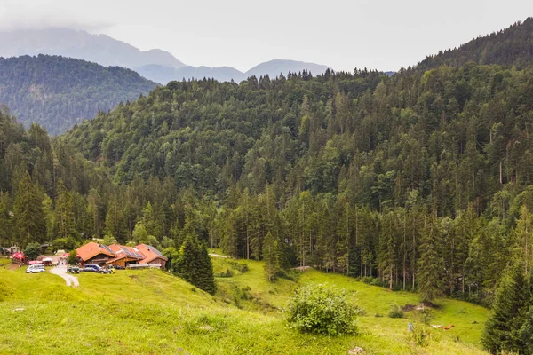 Dorf im grünen Tal neben einem Wald — Stockfoto