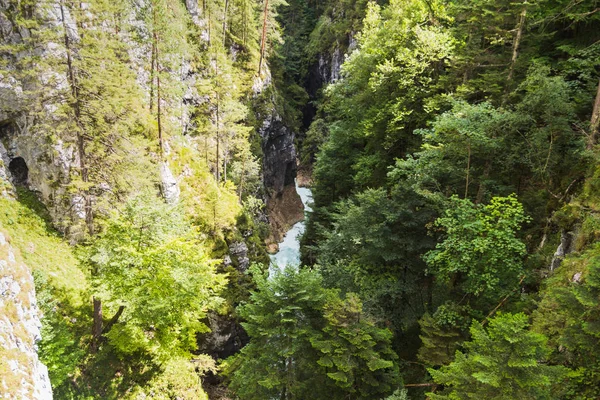 Gangway dengan tenggorokan melintasi lembah hijau di sungai — Stok Foto
