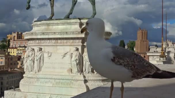ローマ ヴィットリアーノからのパノラマ — ストック動画