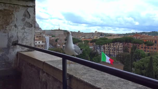 Rome Maj 2018 Panorama Från Angel Castle — Stockvideo