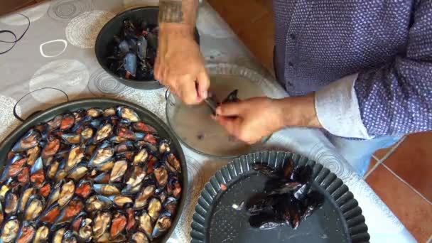 Italia Región Puglia Manera Típica Abrir Mejillones Para Preparación Especialidades — Vídeo de stock