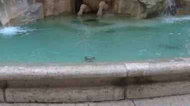 4k 1651.View ve detayları mimar G.L. Bernini tarafından Roma, 16 Mayıs 2018, piazza Navona, dört ırmak Çeşmesi fark.