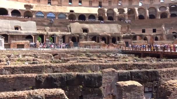 Itálie Řím Koloseum Pohled Vnitřní Vnější Architektury Známý Jako Flavian — Stock video