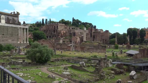 Roma Vista Detalhes Das Ruínas Fórum Romano Que Juntamente Com — Vídeo de Stock