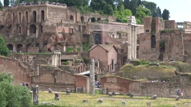 Ρώμη Προβολή Και Λεπτομέρειες Από Ερείπια Από Ρωμαϊκή Αγορά Οποία — Αρχείο Βίντεο