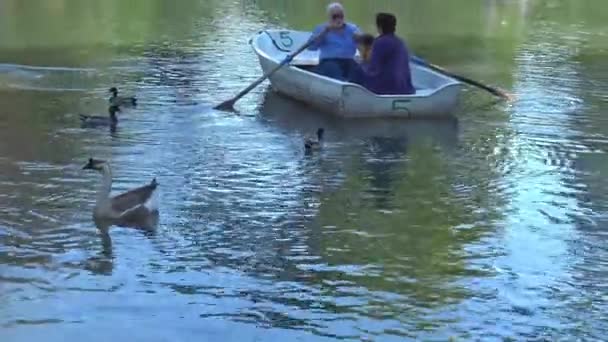 Rom Dammen Vid Villa Borghese Med Båtar För Turister — Stockvideo