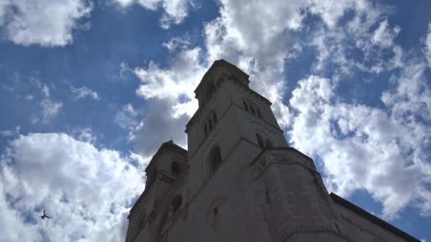 Italy Puglia Region Altamura Cathedral Santa Maria Assunta Facades Elevations — Stock Video