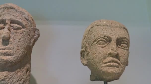 Italië Regio Apulië Tarente Nationaal Archeologisch Museum Van Tarente Diverse — Stockvideo