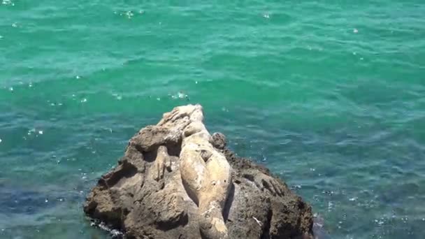 Italy Puglia Region Taranto Seafront Cliff Mermaid Sculpture — Stock Video