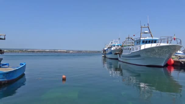 Italy Typical Fishing Boats Moored Port — Stock Video