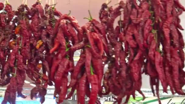 Getrocknete Rote Paprika — Stockvideo