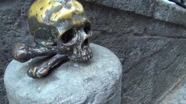 Napoli Decuman Bölgesinde Antik Kafatası — Stok video