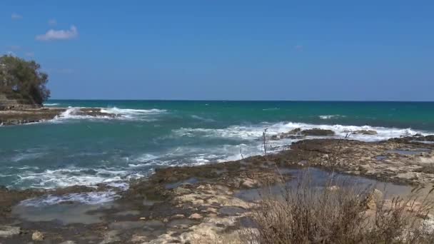 Italia Egnazia Bahía Playa Paseo Marítimo — Vídeos de Stock