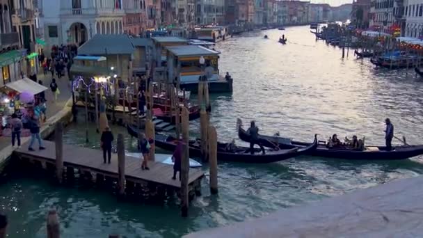 Venecia Vista Del Gran Canal — Vídeo de stock