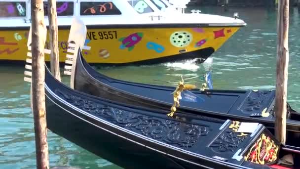 Venezia Motoscafi Gondole Nel Canal Grande — Video Stock