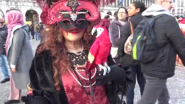 Venise Carnaval 2019 Personnes Masquées Errent Dans Ville Posant Pour — Video