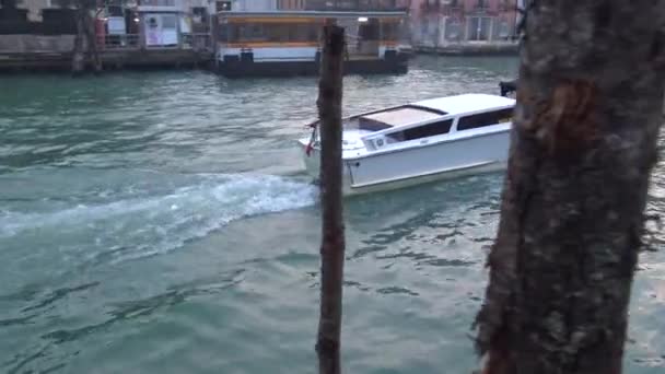 Veneza Itália Março 2019 Passagem Barcos Grande Canal — Vídeo de Stock