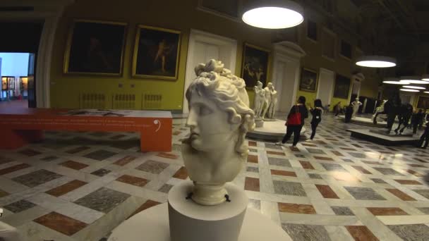 Italy Naples May 2019 Archaeological Museum Visitors Exhibition Sculptures Antonio — Stock Video