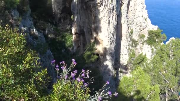Italien Capri Blick Auf Den Berühmten Naturbogen — Stockvideo