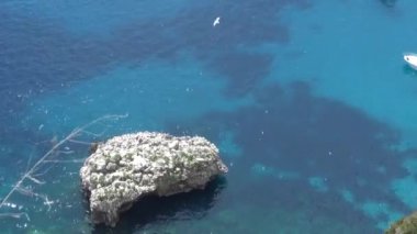 İtalya, Capri, Faraglioni körfezi görünümü, detay