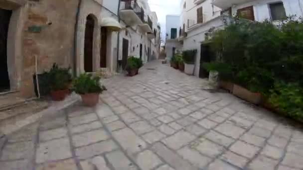 Talya Polignano Mare Ortaçağ Dar Sokaklarında Hiper Hata — Stok video