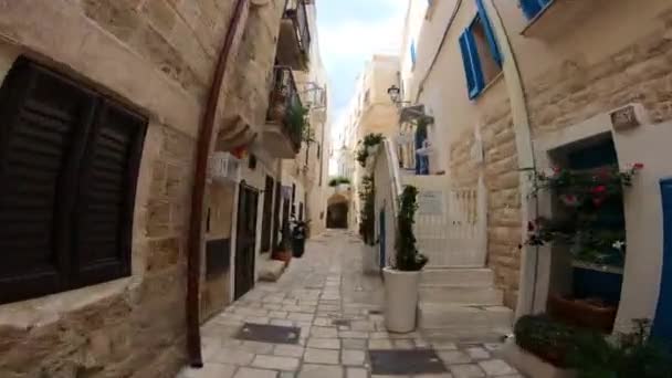 Talya Polignano Mare Ortaçağ Eski Kasabasının Dar Sokaklarında Bir Yürüyüş — Stok video