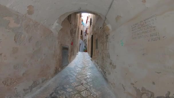 意大利 波利尼亚诺 一个野马 走过中世纪古城的典型街道 — 图库视频影像