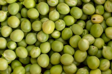 Taze bezelyeye kapatılmış fotoğrafçılık.