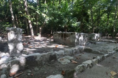 San Miguelito arkeoloji sahasına kurulmuş ejderha kalıntıları Cancun Mexico 'nun ortasında.