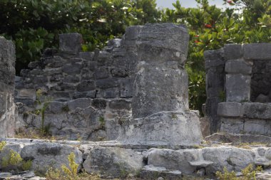 Meksika 'nın Cancun şehrinin ortasındaki El Rey arkeoloji sahasına beyaz sıva ile kaplanmış antik bir Maya kolumuna yakın.