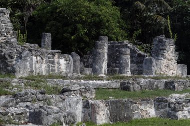 Meksiko 'nun Cancun şehrinin ortasındaki El Rey arkeolojik sahasına kolon ve duvarları olan bir Maya yapısının kalıntıları.