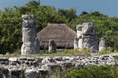 Mayalı bir harabenin antik sütunlarının güzel bir görüntüsü Meksika 'nın Cancun şehrinin ortasındaki El Rey arkeolojik sahasına yayıldı.