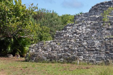 Güneşli bir günde ormanın yakınındaki eski bir Maya piramidinin ayrıntıları Meksika 'nın Cancun şehrinin ortasında bulunan El Rey arkeoloji sahasına düştü.