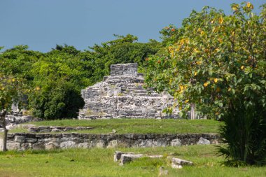 Hokkabazlığın ortasındaki antik bir Maya piramit yapısı El rey arkeolojik sahasına giriyor.