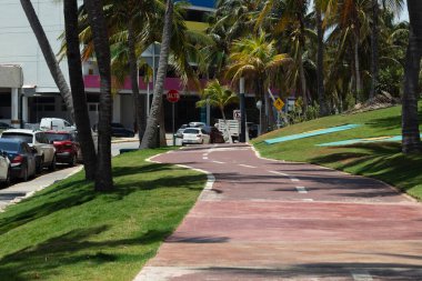 Güzel güneşli bir gün sahnesi. Yüksek palmiyelerin ortasındaki eski bisiklet yolu Cancun Mexico 'daki otel bölgesine doğru.