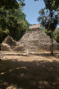 Coba arkeolojik bölgesindeki ormanın ortasında güzel Maya tapınağı kalıntıları var.