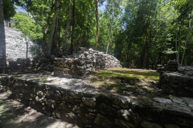 Güneşli bir günde Coba Arkeolojik Bölgesi 'nde ormanın ortasında antik bir Maya ev yapısına yakın.