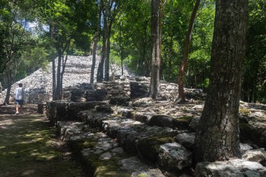 Coba arkeolojik bölgesindeki tropikal ormanın ortasında antik bir Maya yapısının güzel bir sahnesi harabeye döndü.