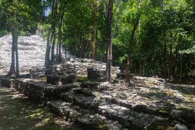 Antik Maya, Coba arkeolojik bölgesindeki Meksika ormanının ortasındaki bir yapıyı harabeye çeviriyor.