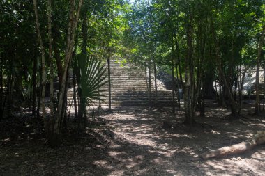 Coba arkeolojik bölgesindeki orman yapraklarının ortasında antik bir Maya tapınağının merdivenleri.