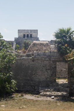 Güneşli bir günde Tulum olarak bilinen antik Maya şehrinin kalıntılarına yakın bir yerde.