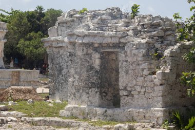 Tulum arkeolojik bölgeye küçük bir Maya tapınağının girişine yakın.