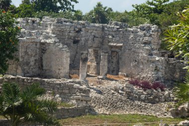 Antik bir Maya tapınağına yakın olan bu tapınak, güneşli bir günde orman yeşilliklerinin ortasındaki kolonları ve duvarları harap eder.